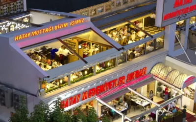 Hatay Medeniyetler Sofrası à Istanbul : Voyage Culinaire Authentique en Turquie