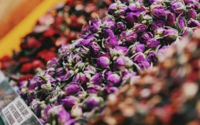 Spice Bazaar Istanbul : expérience sensorielle authentique au marché aux épices