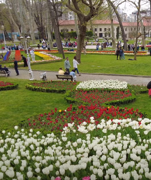 Parc de Gülhane fleur de tulipe Istanbul