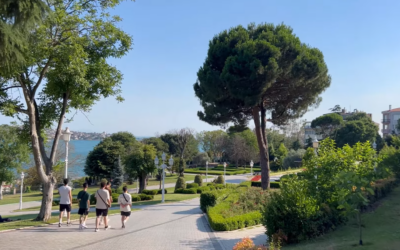 Parc de Yıldız à Istanbul : 5 Raisons de Découvrir la Beauté Naturelle