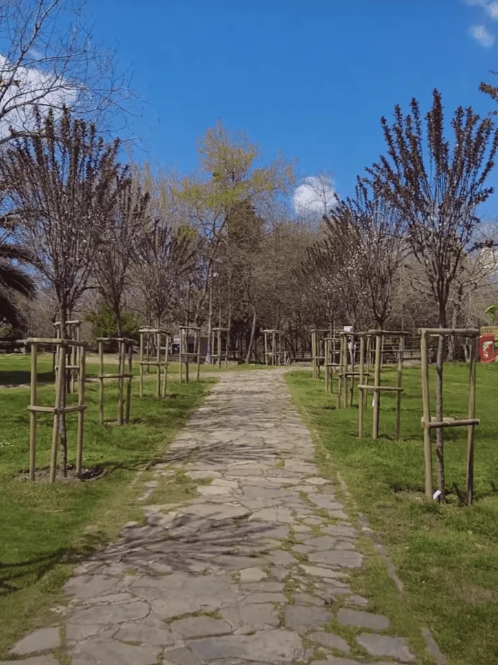 Florya Atatürk Ormanı chemins en pierre