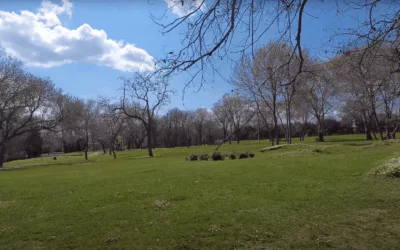 Florya Atatürk Ormanı : forêt paisible et coin de nature à Istanbul