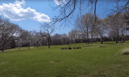 Florya Atatürk Ormanı : forêt paisible et coin de nature à Istanbul
