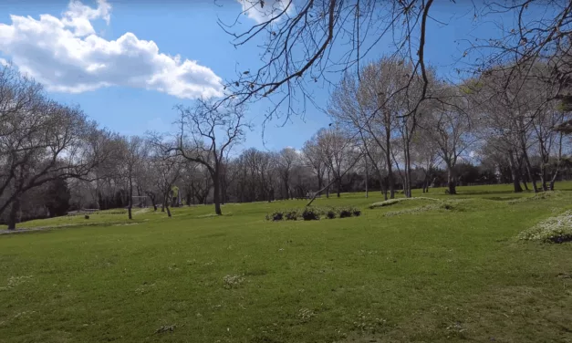 Florya Atatürk Ormanı : forêt paisible et coin de nature à Istanbul